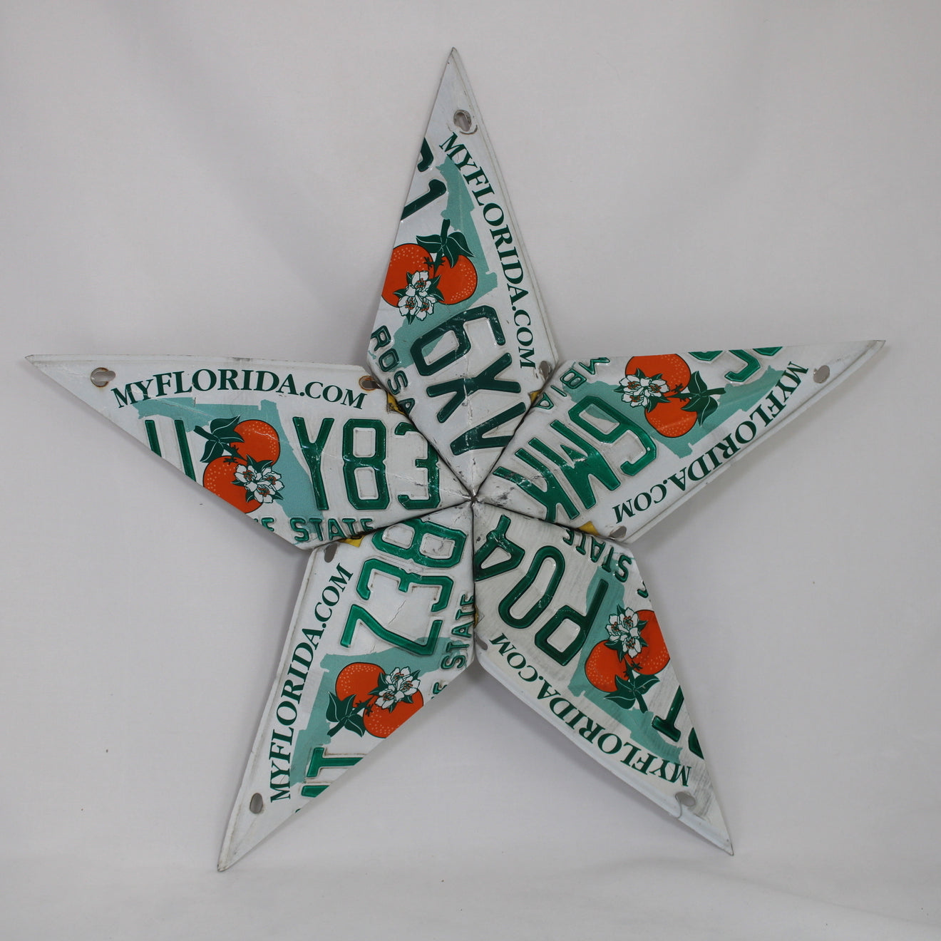 Florida License Plate Star